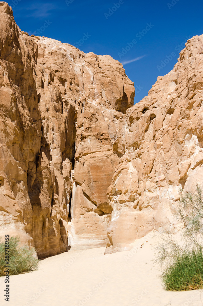 high rocky mountains and green bush in the canyon in Egypt Dahab South Sinai