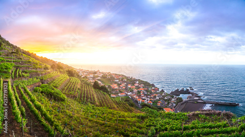 Wineyards of Madeira at sunset, above the municipality of Seixal