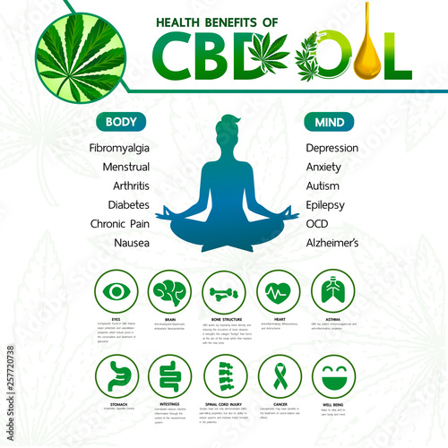 Cannabis benefits for health vector illustration.
