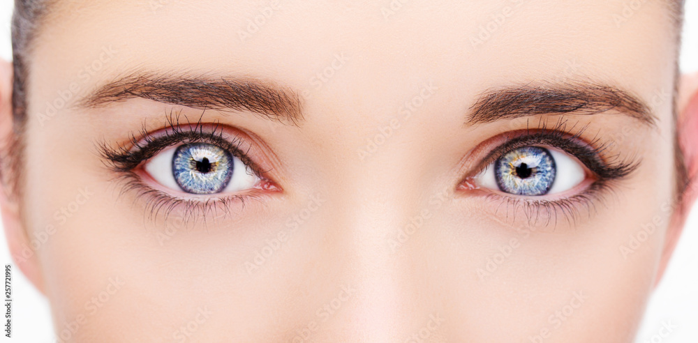 Fototapeta premium A beautiful insightful look woman eye. Close up shot.