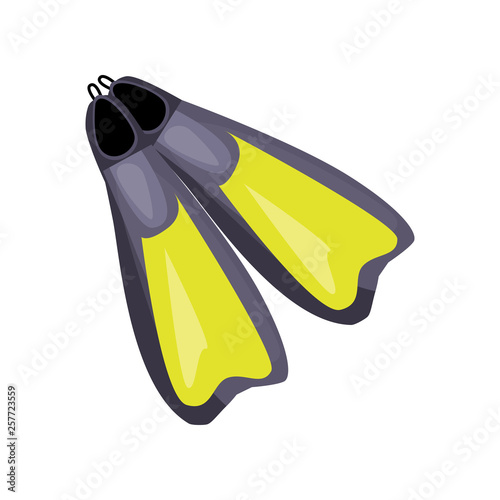 Grey and green flippers. Fin, diver, footwear. Vector illustration can be used for topics like summer vacation, seaside, underwater activity, scuba diving