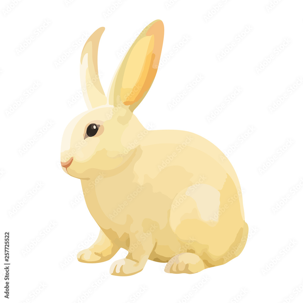 Obraz premium Cute bunny isolated on white background. 
