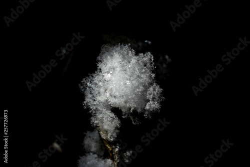 A branch of a tree with autumn leaves covered with snow at night on a black background