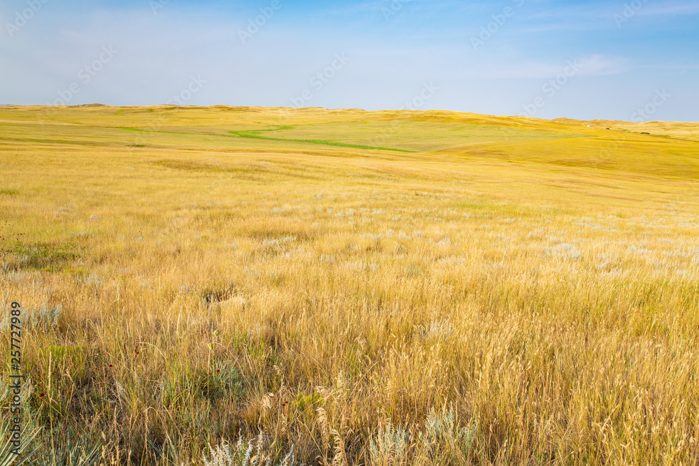 Little Missouri National Grassland in North Dakota, USA Little Missouri National Grassland in North Dakota, USA