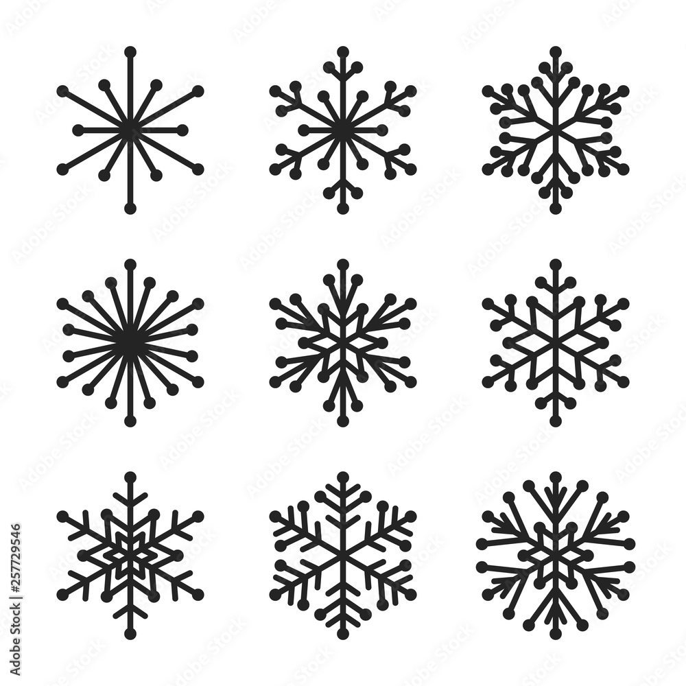 Set of snowflake on white background Set of snowflake on white background