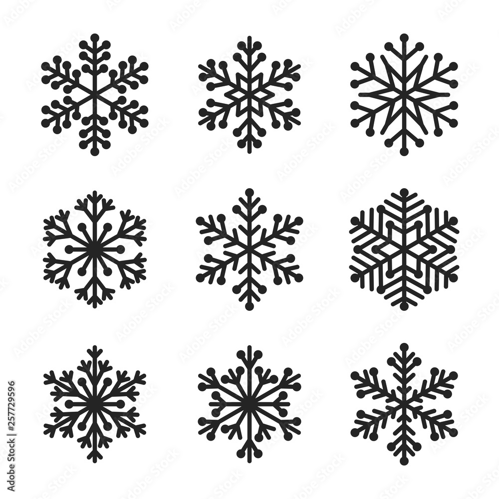 Set of snowflake on white background Set of snowflake on white background