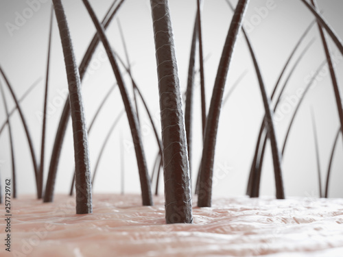 3d rendered illustration of healthy human hair