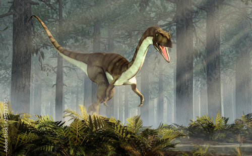 Coelophysis, one of the earliest dinosaurs, was a carnivorous theropod.  The creature walks out of a forest of fir trees with a floor of ferns with rays of light shining down. 3D Rendering.  photo
