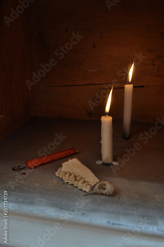 Wooden voodoo altar box with red and white burning candles cow teeth and a bird skull head