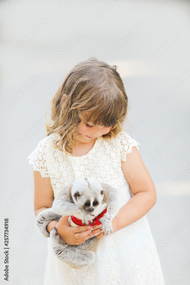Making photo of exotic animals. Little girl with lory lemur Making photo of exotic animals. Little girl with lory lemur