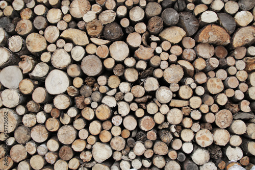 pile of wood