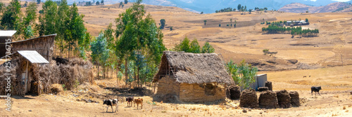 ETHIOPIA, traditional homestead surounded by harvested fileds between Addis Ababa and Bahar Dar