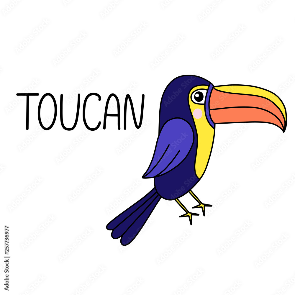 Fototapeta premium Toucan lettering vector illustration