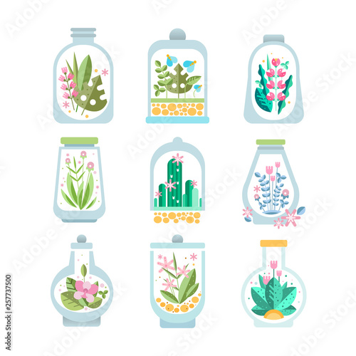 Flat vector set of glass vessel with blooming plant inside. Floral compositions in transparent bottles. Flowers and cactuses. Botanical theme