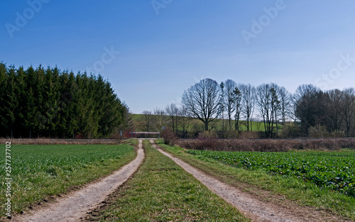 Reichstaedt / Germany: Closed railroad crossing on a dirt road in the hilly rural landscape in Eastern Thuringia on a sunny day in March