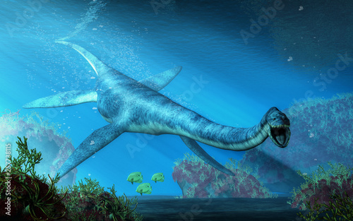 An elasmosaurus swims towards you in shallow seas.  This long necked plesiosaur was an aquatic reptile that lived in the ocean during the Cretaceous period. 3D Rendering photo