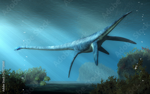 Fototapeta Naklejka Na Ścianę i Meble -  An elasmosaurus swims away from you in shallow seas.  This long necked plesiosaur was an aquatic reptile that lived in the ocean during the Cretaceous period. 3D Rendering