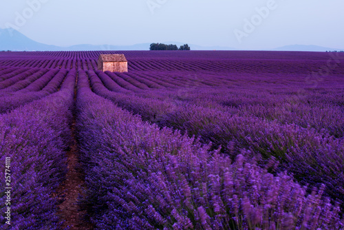 stone house at lavender field