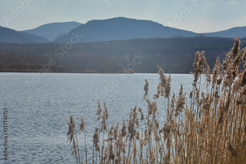 Bild auf Leinwand Olbersdorfer See - Ausblick auf die Berge