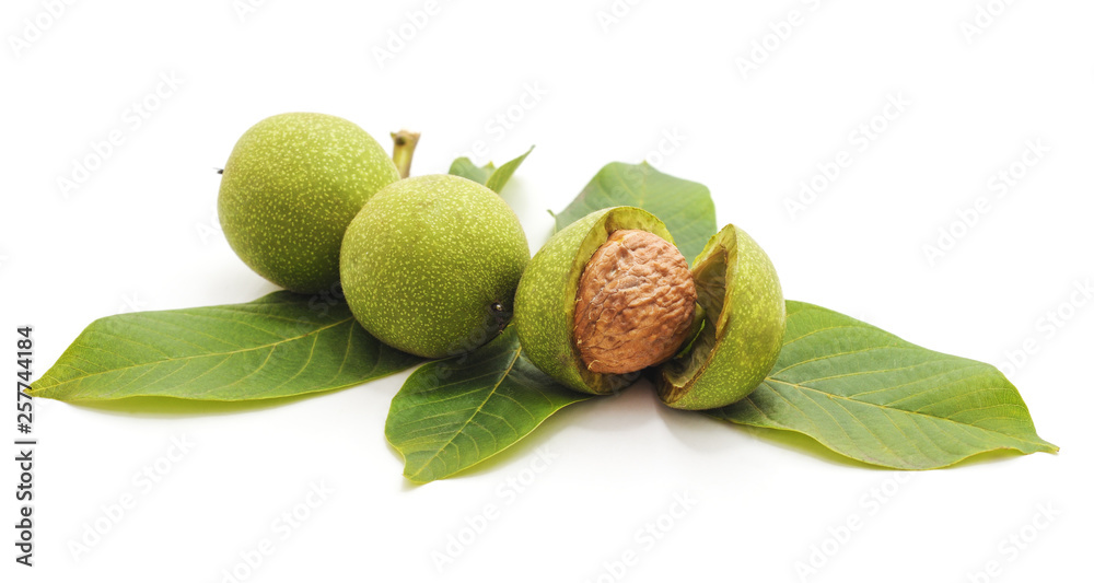 Green walnuts with leaves. - obrazy, fototapety, plakaty 