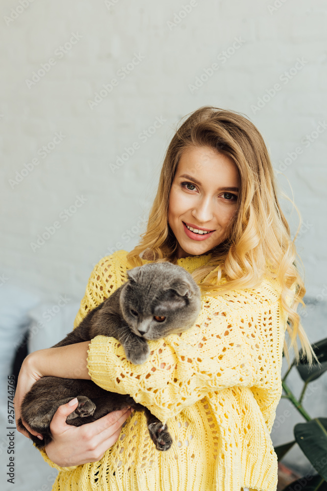 beautiful smiling girl in knitted sweater looking at camera and hugging cute scottish fold cat beautiful smiling girl in knitted sweater looking at camera and hugging cute scottish fold cat