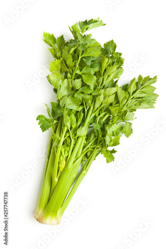 Bunch of fresh celery stalk.