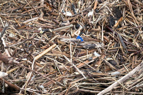Flotsam and jetsam flood debris