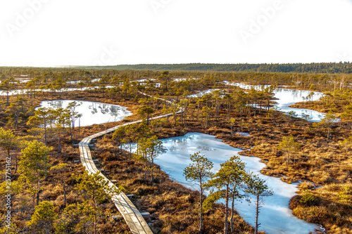 Aerial view of Kemeri Great swamp wetland landscape: wooden footpath on the bog with autumn colored flora in Kemeri national park