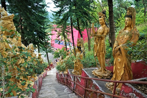 10 thousand buddhas monastery kloster in hong kong