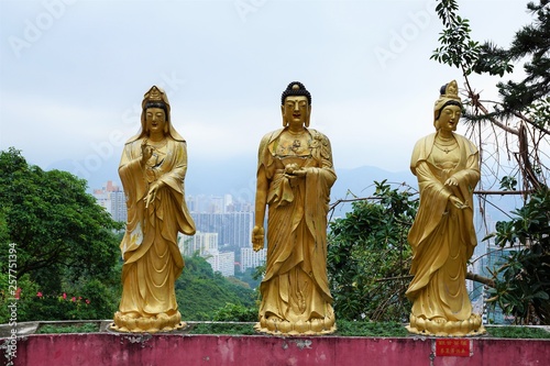 10 thousand buddhas monastery kloster in hong kong