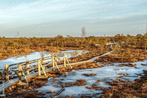Nature of Latvia, Great Kemeri Swamp: Panoramic autumn landscape with wooden path over the swamp at sunset. Fall nature background