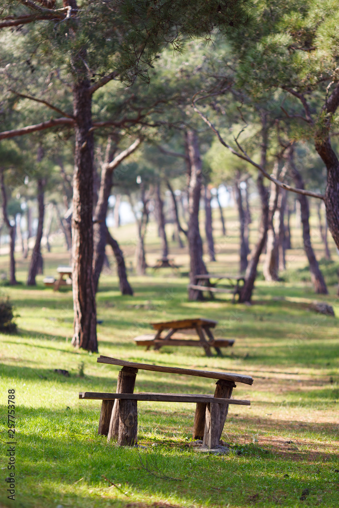 Image of park with trees, wooden benches, table.