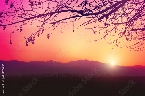 A romantic and dreamy sunrise on a cold winter s day