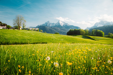 Acrylglasbilder Pistache Idyllic landscape in the Alps with blooming meadows in springtime  © JFL Photography