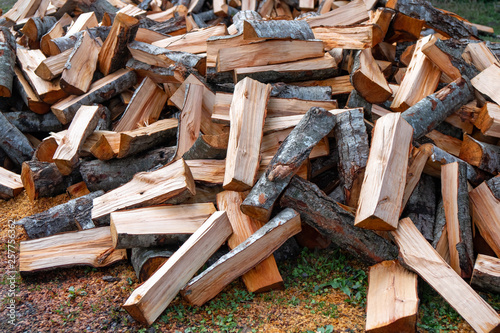 Fototapeta Naklejka Na Ścianę i Meble -  Preparation of firewood for the winter. firewood background, Stacks of firewood in the forest.