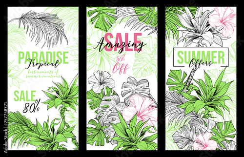 Set of sketched coconut or queen palm trees with leaves. Paradise Sale or Offers vertical vector banners, desert coco flora, hibiscus flower. Foliage of subtropical fern. Green palmae and arecaceae.