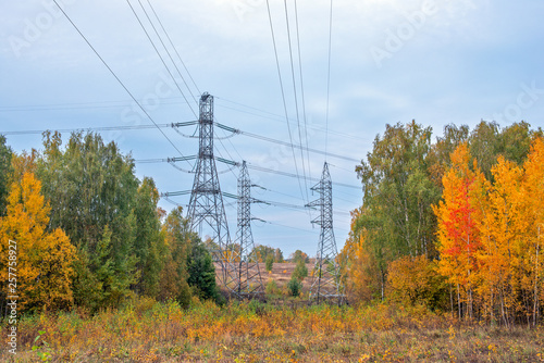 Power lines in autumn forest