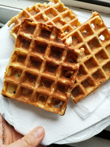 Waffles on a white plate