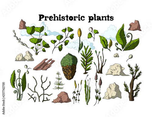 Cartoon botanical rainforest set.
