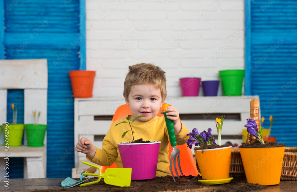 Boy planting tree in clay pot. Little child with plant in pot. Spring flowers and gardening. Boy planting tree in clay pot. Little child with plant in pot. Spring flowers and gardening.