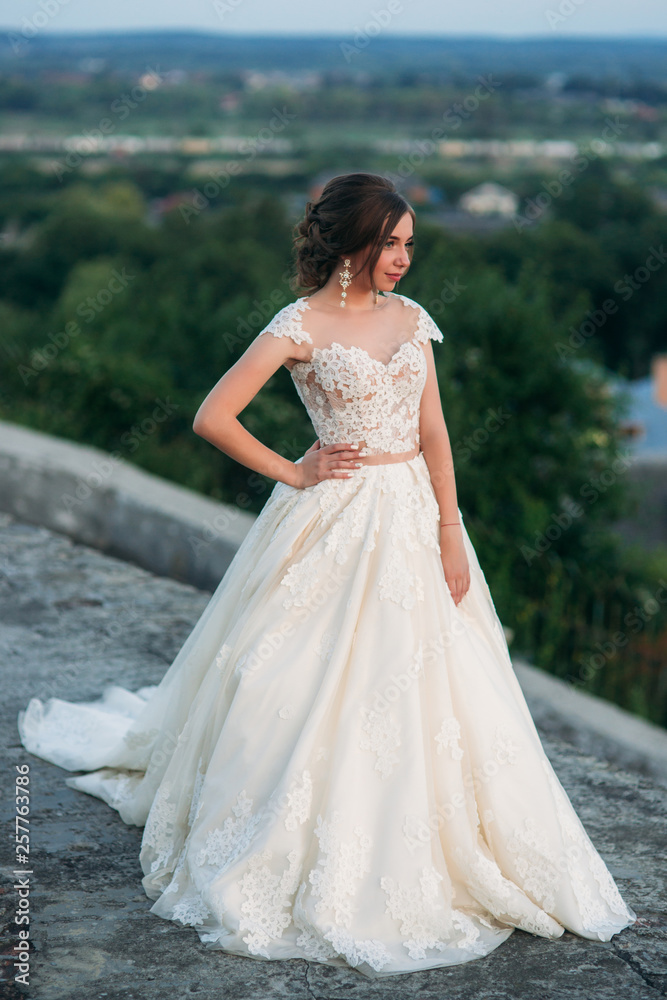 Beautiful bride in long wedding dress outside. Young lady with beautiful eyes