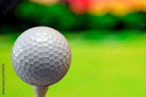 Close up photo of a golf ball in the golf course in a warm sunset light