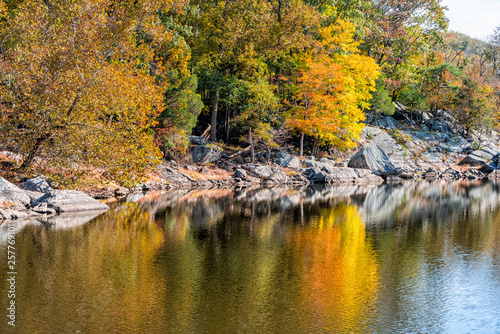 Great Falls yellow orange autumn tree reflection view in canal lake river surface during autumn in Maryland colorful foliage
