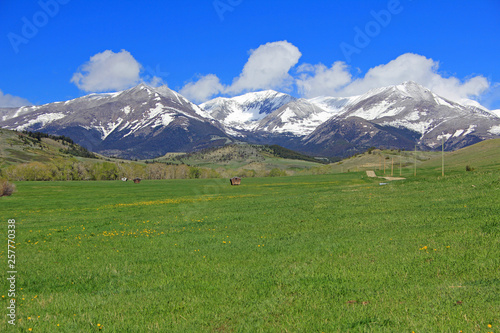 Meadow and Crazy Mountains  Montana