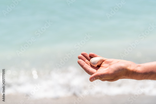 Male or female hand closeup holding one white seashell sea shell during shelling fun activity on Sanibel Island, Florida during day with bokeh of sparkles in ocean water waves Gulf of Mexico © Kristina Blokhin