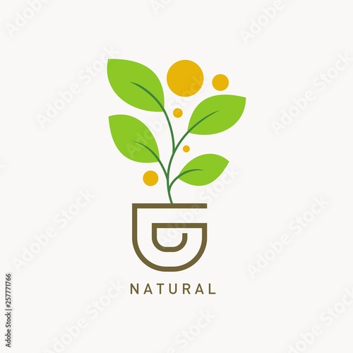 Nature green logo