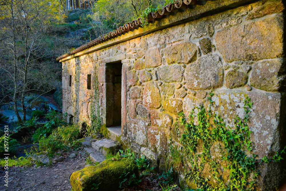 Entrada de un molino de agua antiguo. Caldas de Reis. Galicia. España.