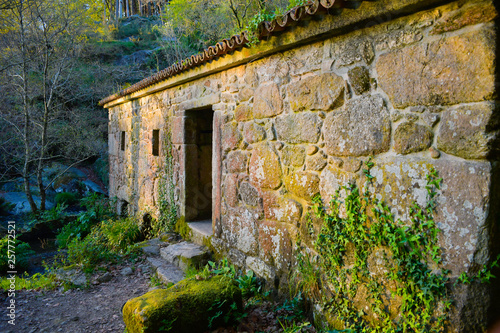 Fototapeta Naklejka Na Ścianę i Meble -  Entrada de un molino de agua antiguo. Caldas de Reis. Galicia. España.