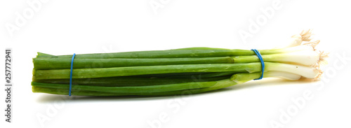 Green onion on white background