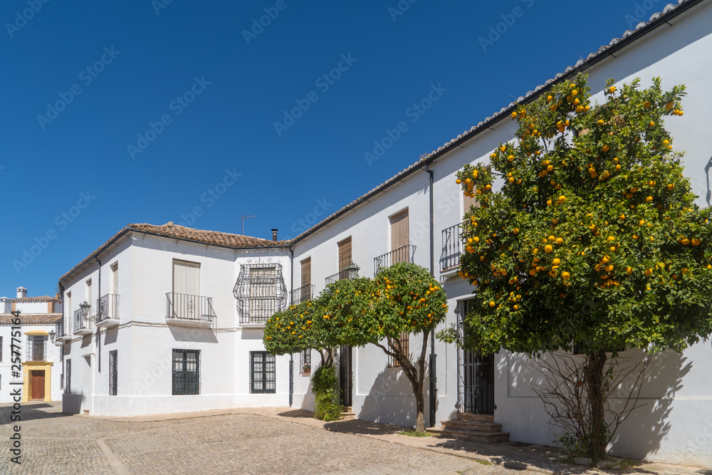 White Spanish house with orange tree and blue sky in Ronda Spain